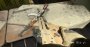 Call of Duty Modern Warfare 2019 mit Raytracing maxed und downsampled DCI-4K (36)
