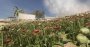 Call of Duty Modern Warfare 2019 mit Raytracing maxed und downsampled DCI-4K (10)