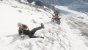 Ghost Recon Breakpoint im Benchmark-Test: 8-GiByte-Grafikkarten ächzen, Technikfreunde frohlocken (13)