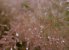 Update Oktober 2019: Foto von -Atlanter-