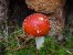 Update Oktober 2019: Foto von mattinator