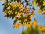 Update Oktober 2019: Foto von der_yappi