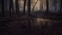 Blair Witch - Screenshot von Nafeken