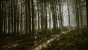 Ghost Reacon Breakpoint (Ultimate Details) - Screenshot von Nafeken