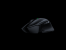 Basilisk im Doppelpack: Razer stellt zwei neue Gaming-Mäuse vor (9)