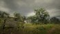 Red Dead Redemption 2 (Custom Settings) - Screenshot von NotAnExit