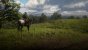Red Dead Redemption 2 (Vulkan, Custom Settings, Nvidia Freestyle Sharpen) - Screenshot von NotAnExit