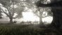 Red Dead Redemption 2 am PC (8)