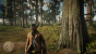 Read Dead Redemption 2: Einer der gesicherten Neuzugänge bei den PCGH-Benchmarks 2020/2021.