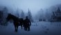 Red Dead Redemption 2 PC (17)
