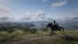 Red Dead Redemption 2 PC (29)