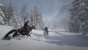 Red Dead Redemption 2 PC (35)
