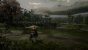 Red Dead Redemption 2 PC (38)