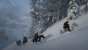 Red Dead Redemption 2 PC (40)