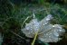 Update Dezember 2019: Foto von -Atlanter-
