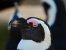 Update Dezember 2019: Foto von der_yappi