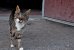 Update Dezember 2019: Foto von JackA$$