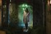 Locke &amp; Key - Staffel 1 (7)