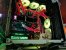 Update vom 26.01.2020: PC von blu3gr33n