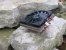 Update Januar 2020: Foto von Poulton