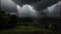 Red Dead Redemption 2 (Vulkan, Nvidia Image Sharpen) - Screenshot von NotAnExit