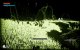 Journey to the Savage Planet: Der Geheimtipp 2020 im Technik-Test mit CPU- und GPU-Benchmarks (33)