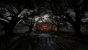 Read Dead Redemption 2 - Screenshot von Nafeken