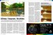 PCGH #236 - Minecraft in RTX