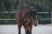 Update April 2020: Foto von JackA$$