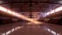 Basketball-Halle in der Unreal Engine 4