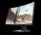 XP X24c Gaming Monitor (1)