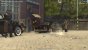 Mafia 2 Classic Apex PhysX an on