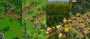 <strong>Anno History Collection:</strong> Anno 1602, 1503, 1701 und 1404 - was ist neu?