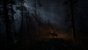 Read Dead Redemption 2 (alle Regler bis auf MSAA auf Maximum) - Screenshot von Nafeken
