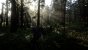 Read Dead Redemption 2 - Screenshot von Dedde