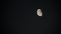 Darf ein Start-up den Mond als Bestattungsort nutzen?