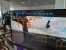 Flight Simulator 2020 – Performance-Unterschiede je nach Flugzeug (Cessna)