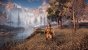 Horizon Zero Dawn (10)