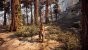 Horizon Zero Dawn (14)