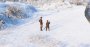 Iron Harvest im Techniktest: (Bilder: 4K DCI maxed und downsampled @ 1440p) (6)
