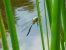 Update August 2020: Foto von mattinator