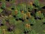 Systemanforderungen damals und heute -&nbsp;Age of Empires II (1999)