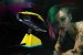 <strong>Razer Viper Ultimate: </strong>Offizielle Cyberpunk-2077-Maus wird teurer als vermutet (1)