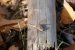 Update vom 19.12.2020: Foto von mattinator