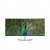 Dell Ultrasharp U4021QW: 40 Zoll breiter Widecreen-Monitor vorgestellt (5)