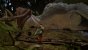 Jedi: Fallen Order (Epic ohne Film Grain ohne Motion Blur ohne HUD) - Screenshot von Olstyle