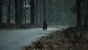 The Medium (3.840 × 2.160, maxed + maxed RT @ 2.560 × 1.440) (23)