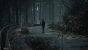 The Medium (3.840 × 2.160, maxed + maxed RT @ 2.560 × 1.440) (29)