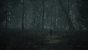 The Medium (3.840 × 2.160, maxed + maxed RT @ 2.560 × 1.440) (43)