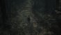 The Medium (3.840 × 2.160, maxed + maxed RT @ 2.560 × 1.440) (44)